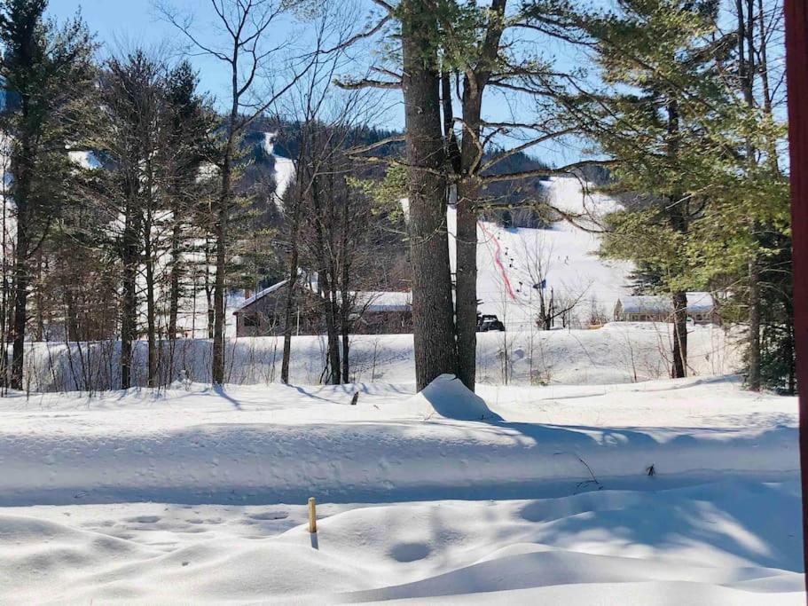 Attitash Mountain Village Studio - Slope View - Ski - Storyland Bartlett Exterior foto